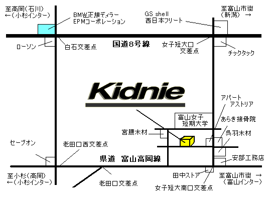 Kidnie
