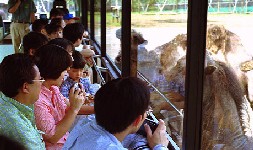 オフミ