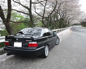 B6