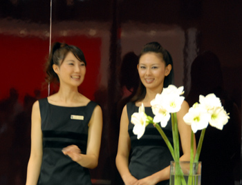 ���[�^�[�V���[